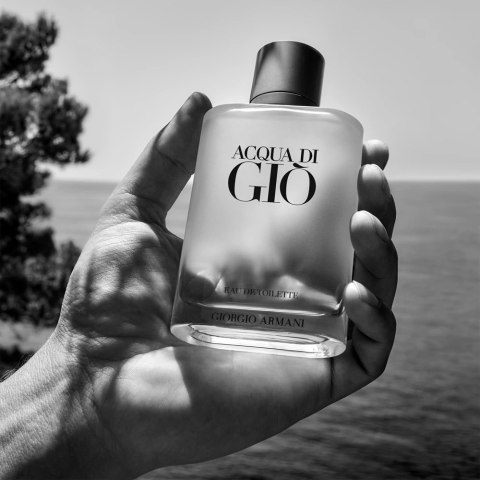 Armani Acqua Di Gio Pour Homme Edt 100ml