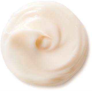 Shiseido Benefiance Nutriperfect Day Cream - Spf 15 50ml