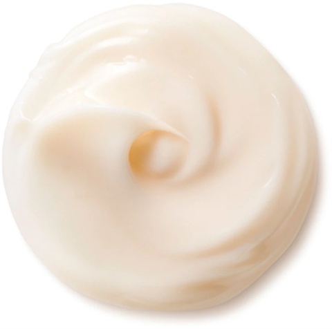 Shiseido Benefiance Nutriperfect Day Cream - Spf 15 50ml