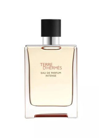 Tester Hermes Terre D'Hermes Edp Intense 100ml