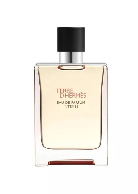 Tester Hermes Terre D'Hermes Edp Intense 100ml