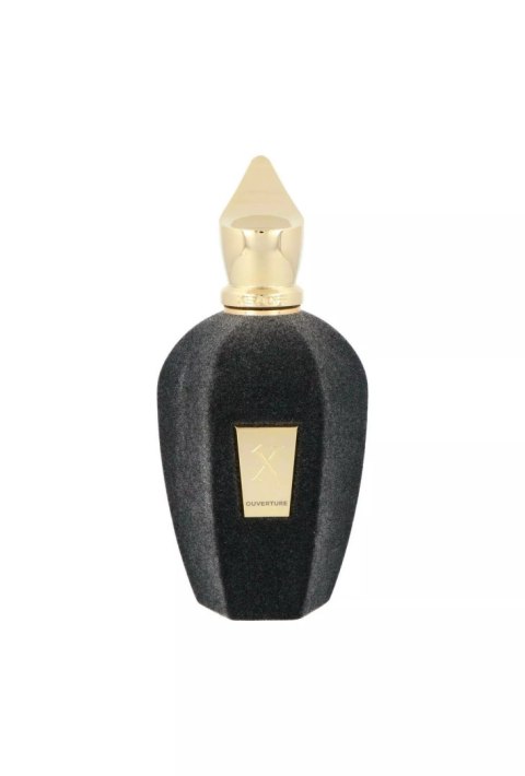 Tester Xerjoff Vibe Collection Ouverture Edp 100ml