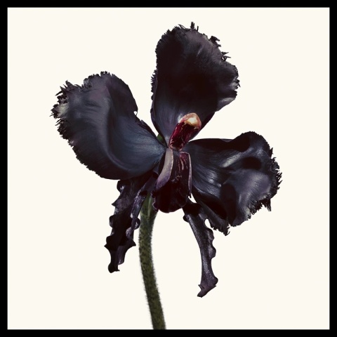 Tom Ford Black Orchid Reserve Parfum Edp 100ml