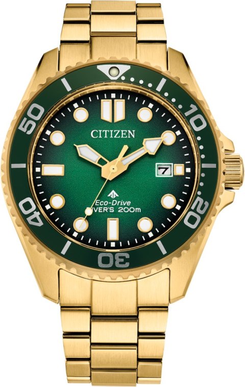 Zegarek Citizen BN0262-59W