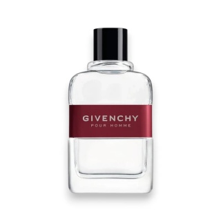 Givenchy Pour Homme Edt 100ml