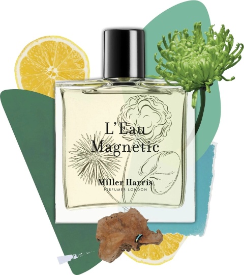 Miller Harris L'eau Magnetic Eau de Parfum Unisex 50 ml – luksusowe perfumy niszowe