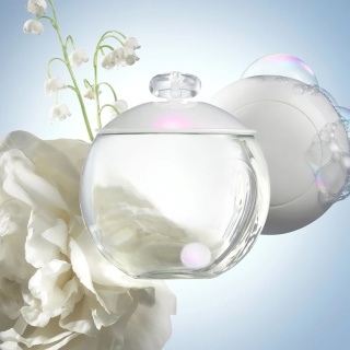 Cacharel Noa Edt 100ml