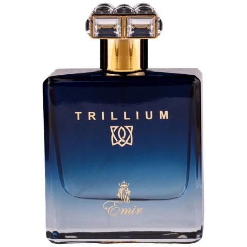 Emir Trillium 100 ml EDP | Arabskie Perfumy Męskie