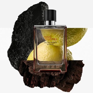 Hermes Terre D`Hermes Edp Intense 50ml
