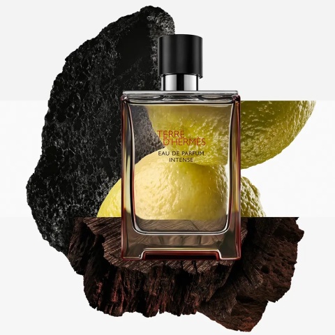 Hermes Terre D`Hermes Edp Intense 50ml