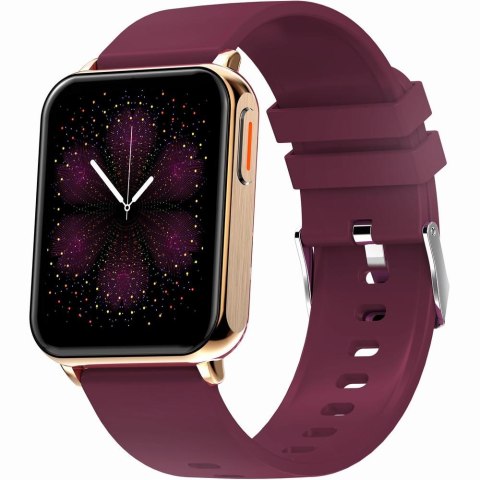 SMARTWATCH UNISEX GRAVITY GT17-6 - AMOLED, DODATKOWY PASEK (sg038f)
