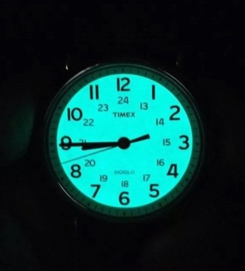 ZEGAREK UNISEX TIMEX T2N654 + BOX