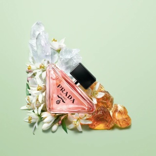 Prada Paradoxe Edp 90ml