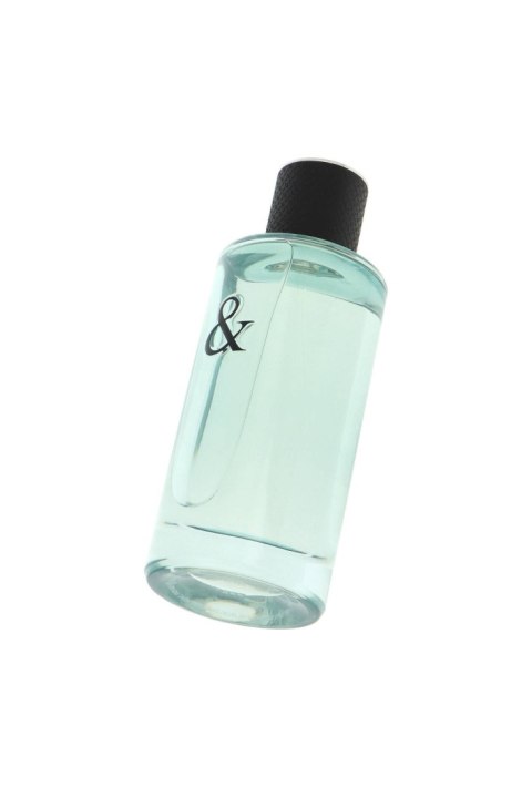 Tester Tiffany & Co Tiffany & Love For Him Edt 90ml