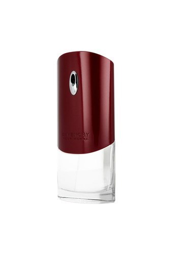 Givenchy Pour Homme Edt 100ml